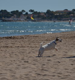 开云体育官方网入口-“天府新区沙滩赛场:沙滩合球挑战传统竞技”